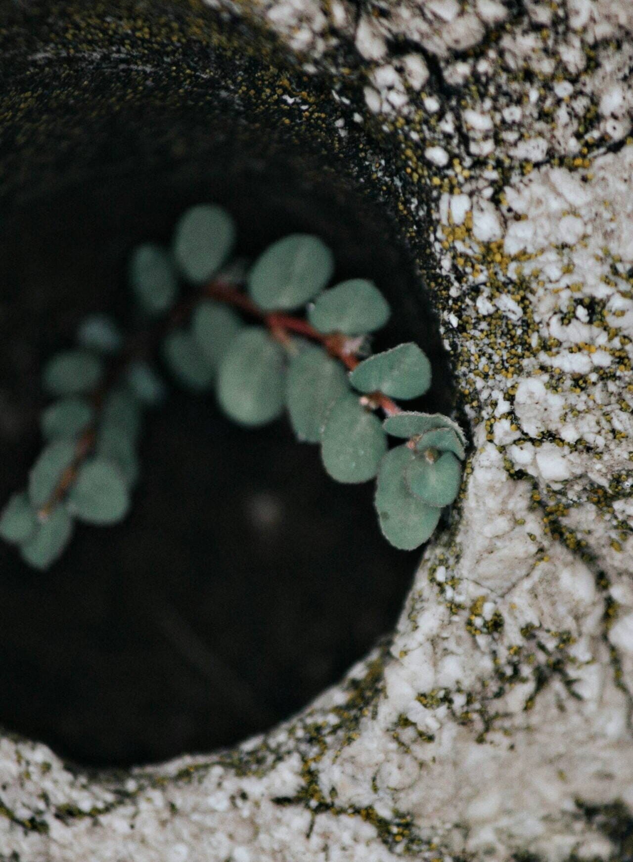 andrea-tummons-JE-yike4HdM-unsplash andrea-tummons-JE-yike4HdM-unsplash