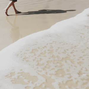 Free Mini Intro Course