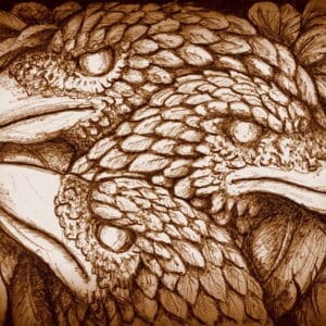 Finding your Wild Soul - Feb 2026