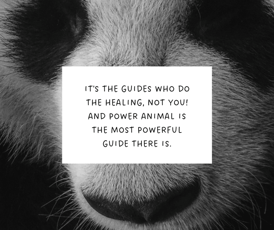 spirit animals are shamanic guides