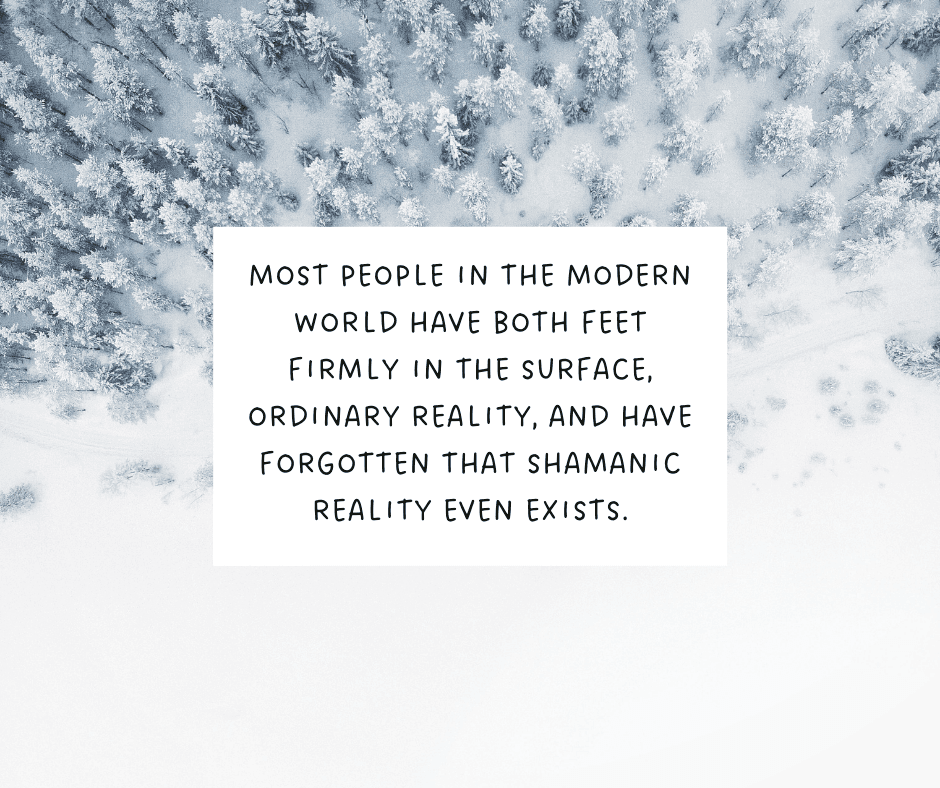 shamanic reality