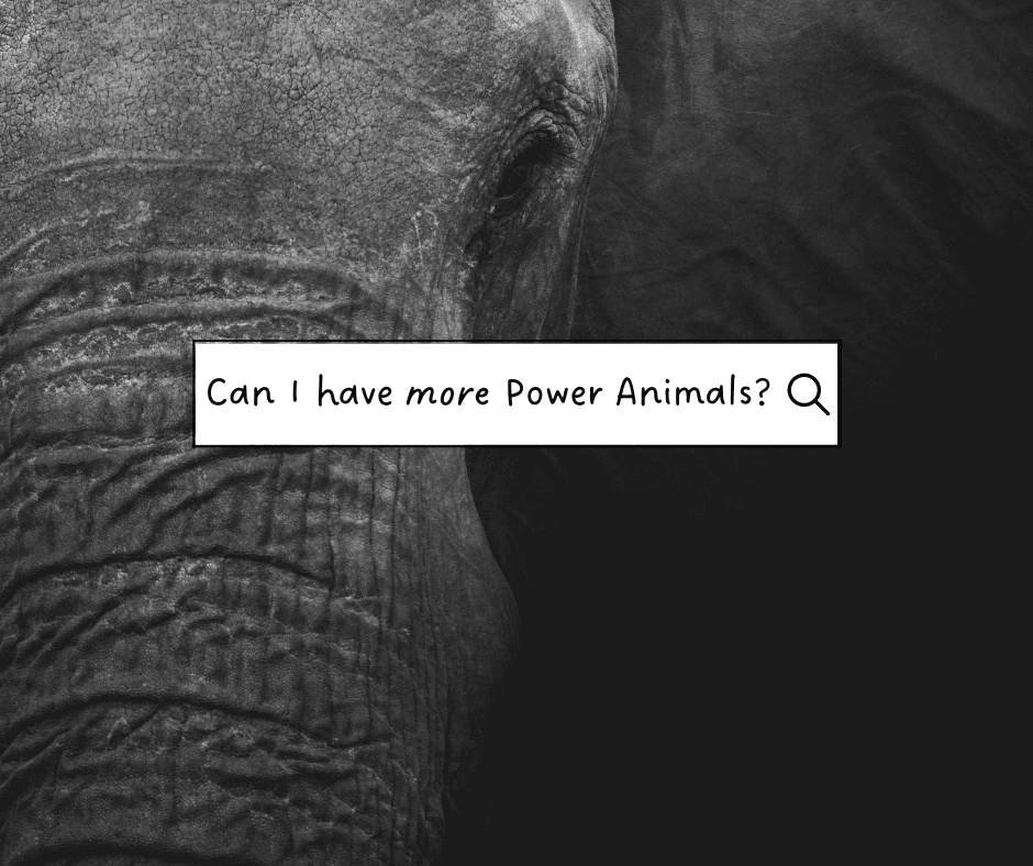 power animal meaning